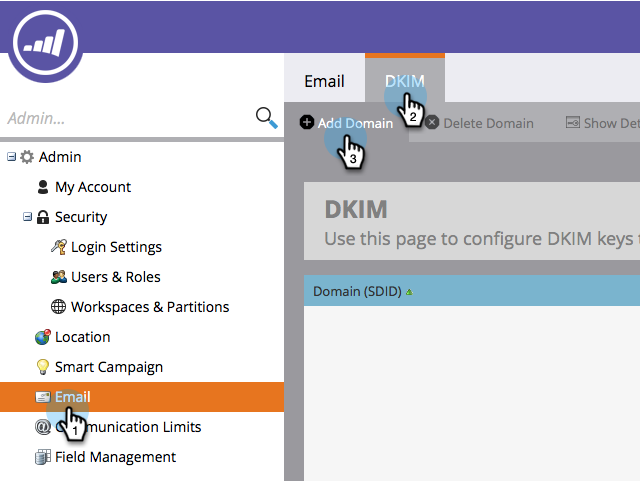 Captura de pantalla de Marketo Dkim 2